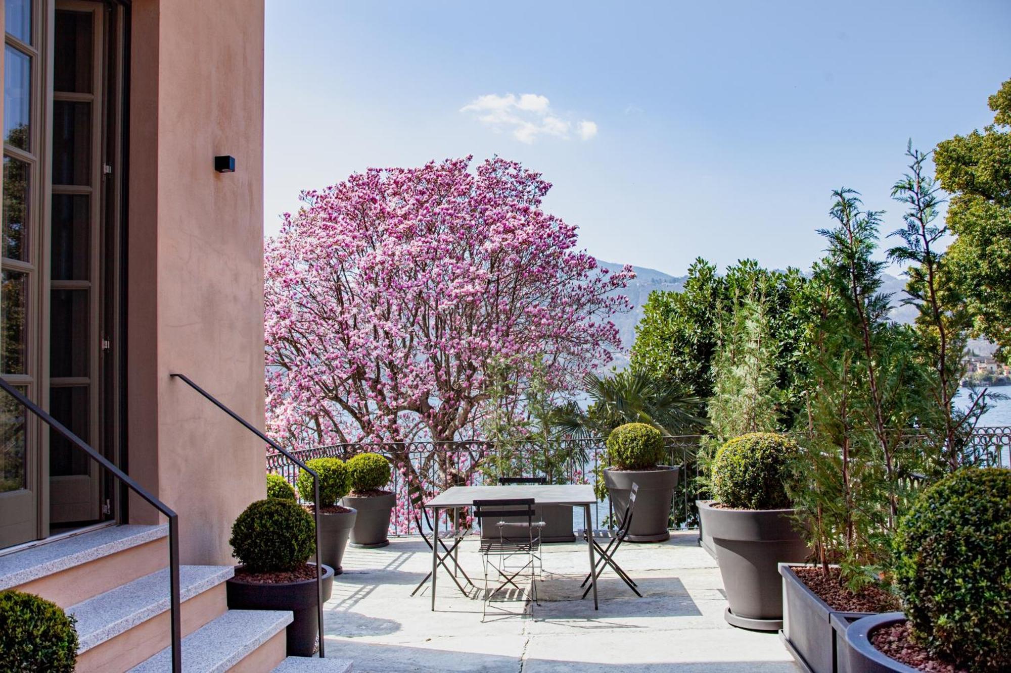 Bifora65 Flats And Garden - Lakeview Leilighet Orta San Giulio Eksteriør bilde